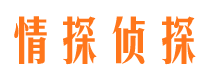 宿州出轨调查